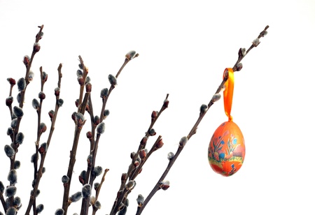 colorful egg on a willow branchの写真素材
