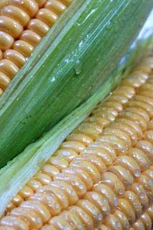 close up of fresh corns