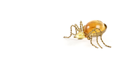 Isolated spider golden brooch with amber over whiteの写真素材