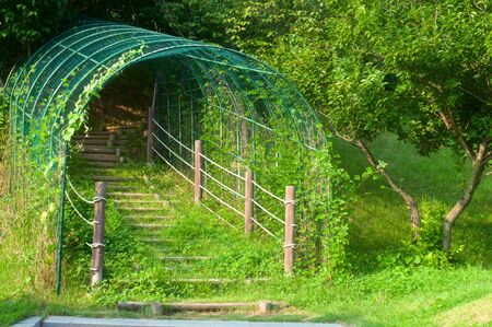 Park in Gongju in South Korea in summer with river and fieldの写真素材