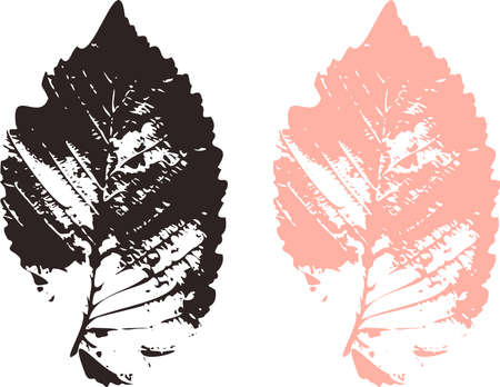 The imprint of the elm leaf diaries for observation of nature, herbaria and designのイラスト素材