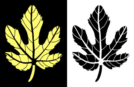 The imprint of a Fig leafのイラスト素材