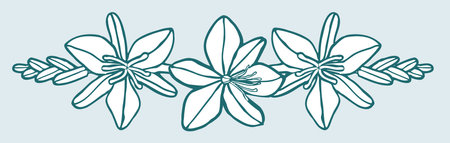 Asphodel vignette with flowers and buds in yellow and black printのイラスト素材