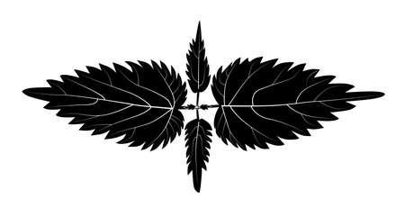 A green nettle bush with venationのイラスト素材