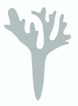 One sprig of Moss, lichen or reindeer moss Iceland moss , or icon on white backgroundのイラスト素材