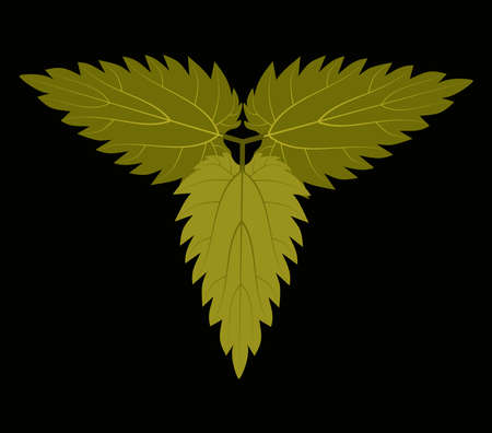 Three nettle leaves on a black background, useful plant, logo, icon