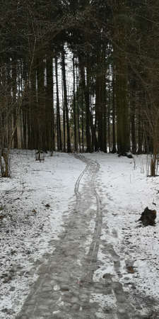 The road that goes into the snowy forest on the melting snow
