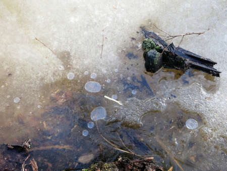 An ice puddle starting to melt a piece of decrepit wood with a wood fungus air bubbles under the ice layer in early springの写真素材
