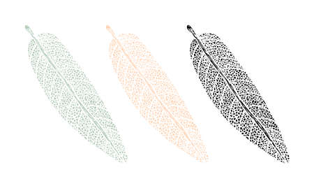 Botanical drawing print of a sage leafのイラスト素材