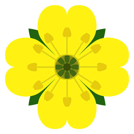 Yellow flower potentilla tormentilla logoti iconのイラスト素材