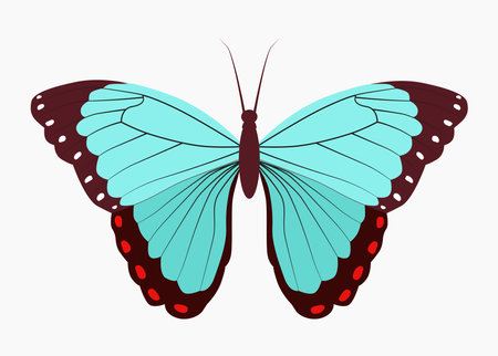 A bright tropical blue butterfly, a beautiful insectのイラスト素材