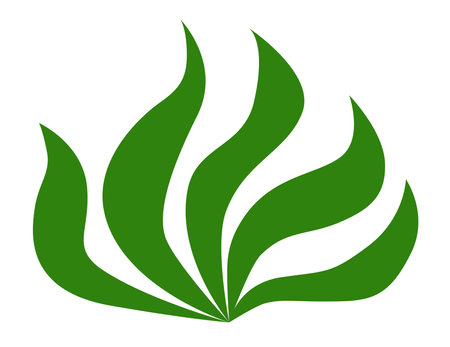 Isolated icon of sea grass and seaweedのイラスト素材