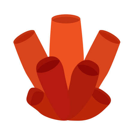 Isolated marine animal colony of red spongesのイラスト素材