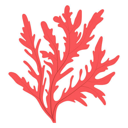 Pink and red mosrky algae for aquarium, marine themeのイラスト素材