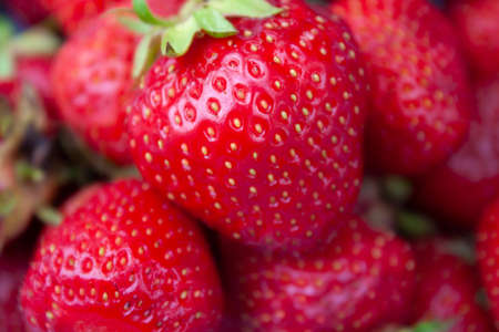 Bright ripe large fresh strawberries, red with yellow seeds, collected from bushes, close-upの写真素材