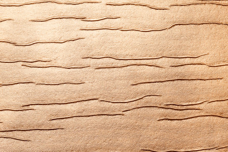 leather texture background surface