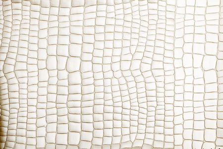 leather texture background surfaceの写真素材