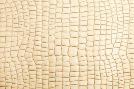 leather texture background surfaceの写真素材