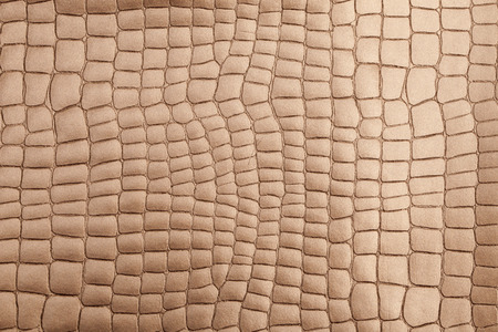 leather texture background surfaceの写真素材