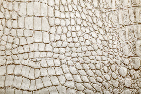 leather texture background surfaceの写真素材
