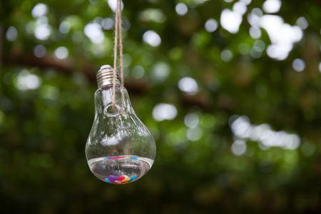Wishing bottle hanging on a treeの写真素材