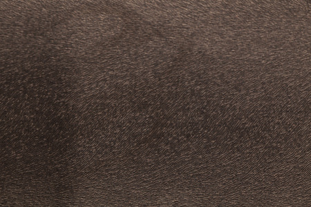 leather texture background surface