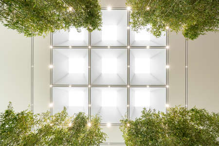 White plaid ceiling, side Chloroplastida