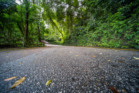 Concrete road up the hill