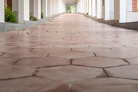 Archway corridor in white style
