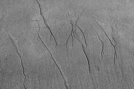 Textured background on the beachの写真素材