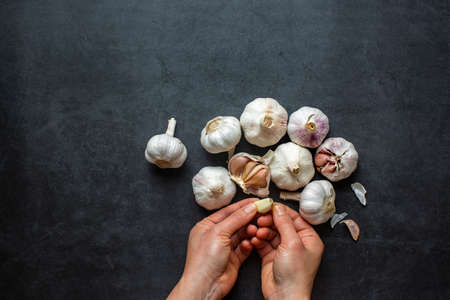 Garlic and Garlic Cloves and sliced garlic on dark grey background.の写真素材