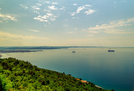 A vast expanse of water, teeming with life, nearby, while a bustling city skyline can be seen in the distance, creating a stunning contrastの写真素材