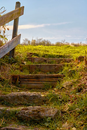 A set of wooden stairs that ascends toward a lush grassy hillの写真素材