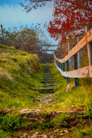 A winding path featuring stairs that lead up to a wooden fenceの写真素材