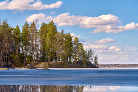 A beautiful frozen lake that is surrounded by trees on a bright sunny dayの写真素材