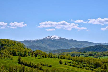 A majestic mountain capped with snow stands proudly, enveloped by a lush array of vibrant trees and vibrant green grass all around itの写真素材