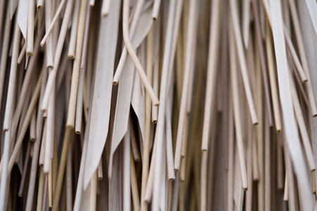 Pile of bamboo sticks for sale in a market, stock photoの写真素材