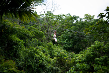 Experience the incredible thrill of ziplining high above a vibrant and lush jungle landscape below youの写真素材