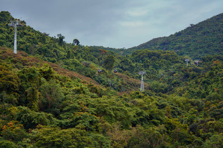 Discover and explore the breathtaking view of cable cars gracefully gliding through lush, dense...
