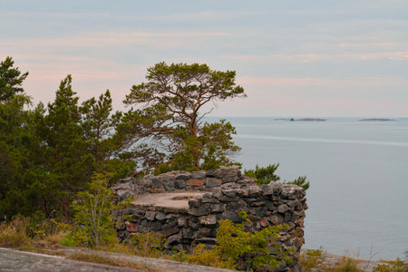 A serene landscape features a rugged outcrop, lush pine trees, and a stunning ocean view at dusk twilightの写真素材