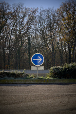 blue right arrow sign on roundabout against backdrop of bare winter trees and trimmed hedge empty asphaltの写真素材