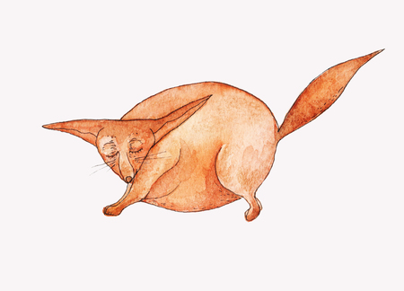 Fat funny cartoon red sportive fox illustration for kids book illustrationの写真素材