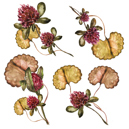 Floral bouquet with clover and leaves watercolor illustration.の写真素材