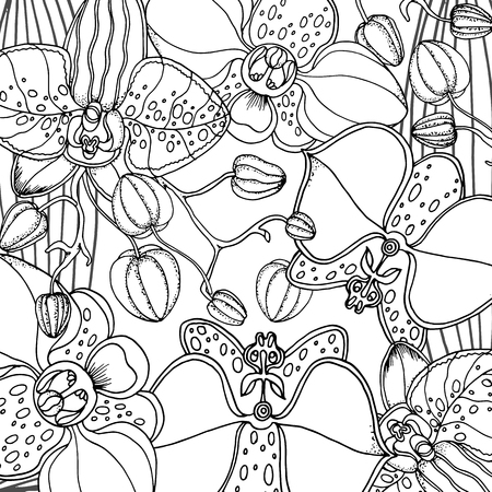 Doodle floral background in vector with doodles black and white coloring page. Vector ethnic pattern can be used for wallpaper, pattern fills, coloring books and pages for kids and adults.のイラスト素材
