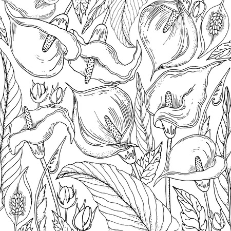 Doodle floral background in vector with doodles black and white coloring page. Vector ethnic pattern can be used for wallpaper, pattern fills, coloring books and pages for kids and adults.のイラスト素材