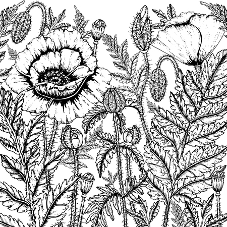 Doodle floral background in vector with doodles black and white coloring page. Vector ethnic pattern can be used for wallpaper, pattern fills, coloring books and pages for kids and adults.のイラスト素材