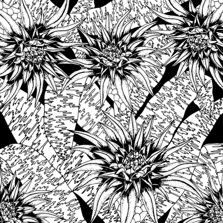 Doodle floral background in vector with doodles black and white coloring pageの写真素材
