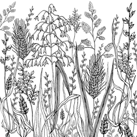 Doodle floral background in vector with doodles black and white coloring pageの写真素材