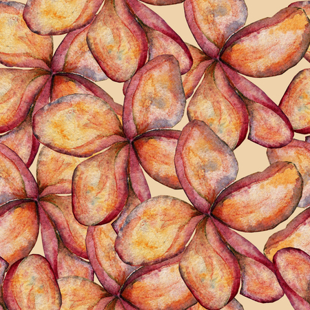 Elegant seamless pattern with watercolor hibiscus flowers, design elements. Floral tropical pattern for invitations, greeting cards, scrapbooking, print, gift wrap, manufacturing, textile.の写真素材