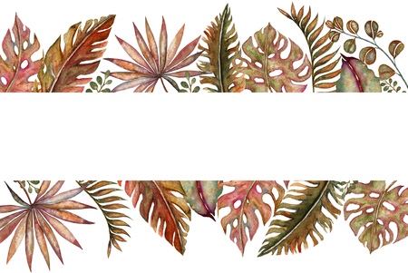 Watercolor set of vintage floral tropical natural elements. Exotic flowers, twigs and leaves. Botanical bright classic collection isolated on white background.の写真素材